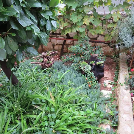 아파트 Bubi 트로기르