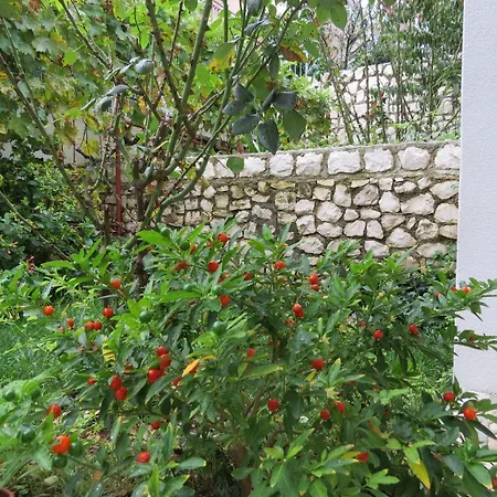 דירה Bubi טרוגיר