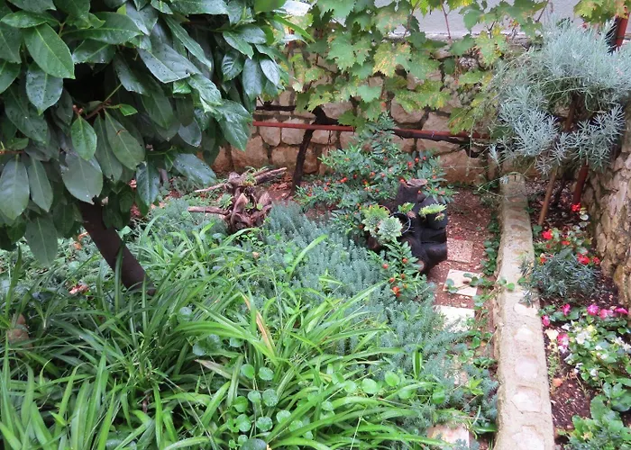 דירה Bubi טרוגיר