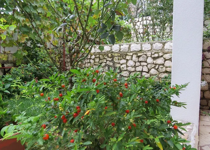 Appartement Bubi Trogir