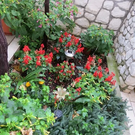 Bubi Apartament